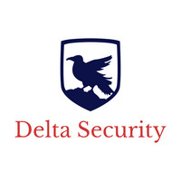 Delta Security Logo